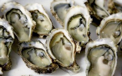 Blog 4 A Fresh Start: The Tradition of Oysters on New Year’s Day