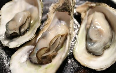 Clear Lake Oyster Bar Beer and Oyster Pairings