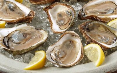 Shuck Oysters to Start off your New Year’s Resolution!