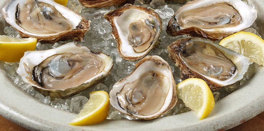 tommys oysters lemons 6