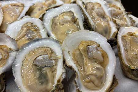 tommys restaurant oyster bar oyster tasting events at tommys image