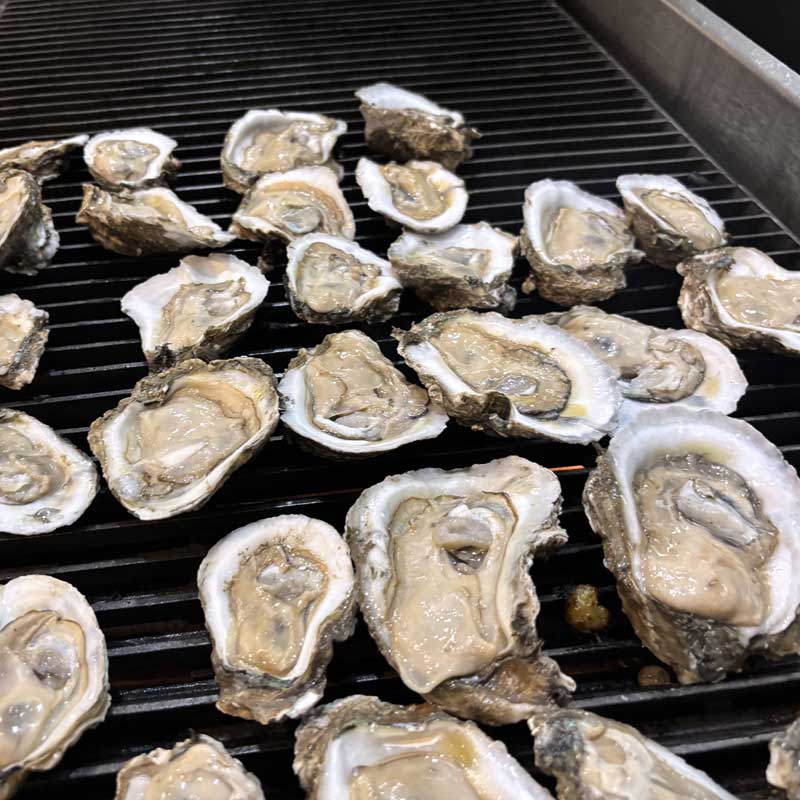 tommys restaurant oyster bar we are oysters banner mobile