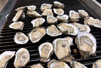 tommys restaurant oyster bar we are oysters image
